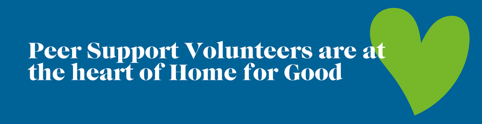 Peer Support Volunterr Banner