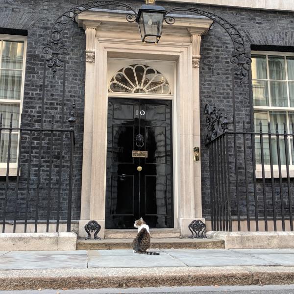 Parliamentary Debate on Adoptive Parents