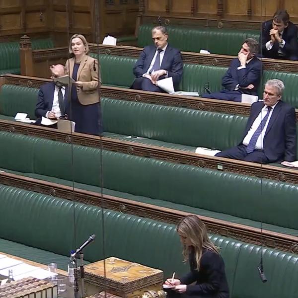 The Children's Wellbeing and Schools Bill