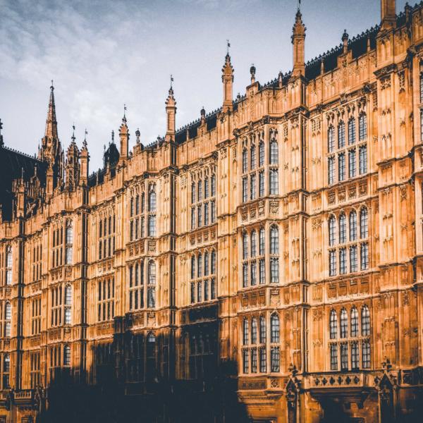 MPs open inquiry into the future of adoption support