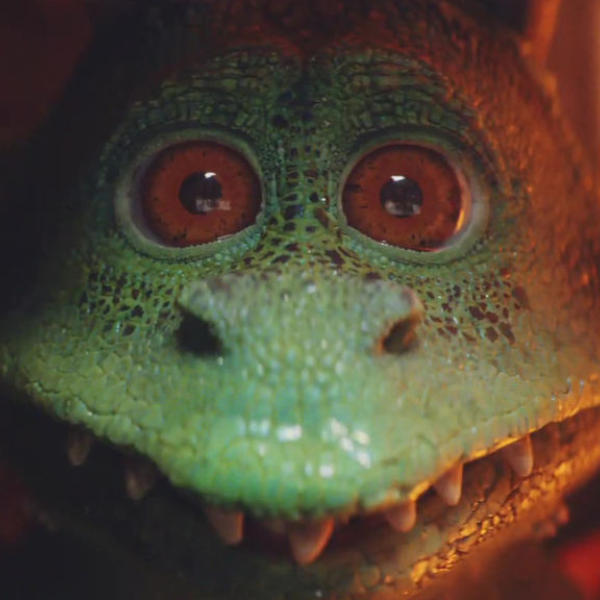 Introducing Excitable Edgar… my adopted son