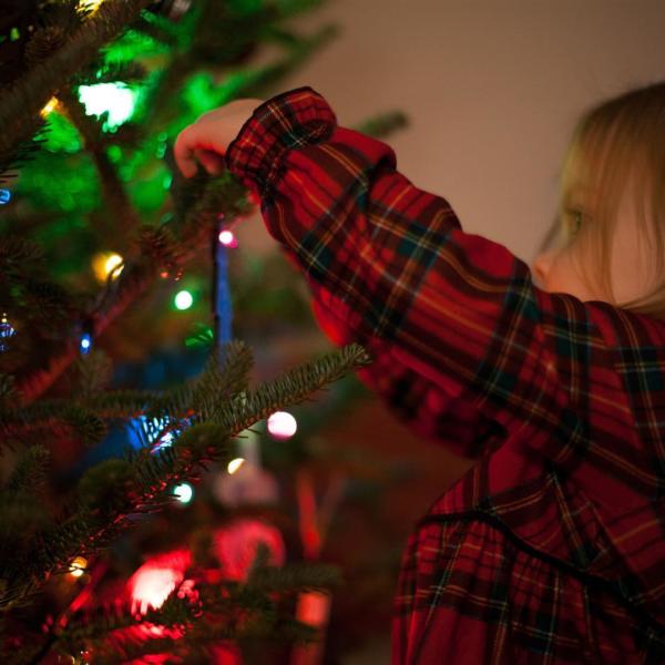 Thoughts of a foster carer: Great Expectations