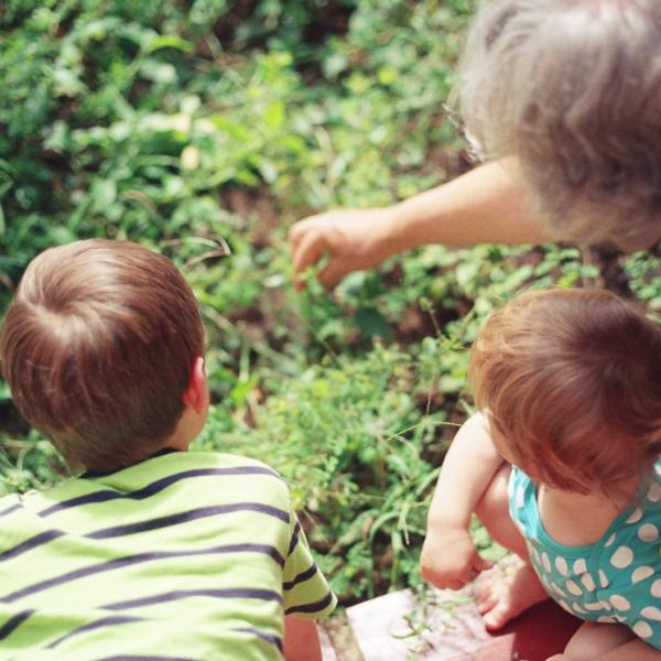 Help! My son or daughter wants to adopt!